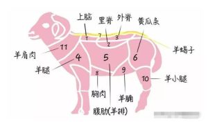 两脚羊好吃的部位，专挑这4个部位会买更会吃