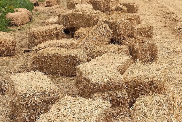 小麦秸秆多少钱一吨，回收后的小麦秸秆有什么用途