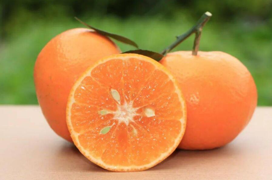 柑橘蜜怎么制作有哪些功效及正确的饮食方式