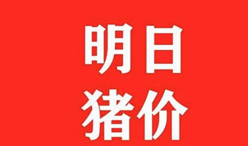 生猪价格今日猪价，各地仔猪价格行情拉涨的变化