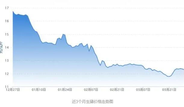 3月份猪价一斤多少钱上涨的原因是什么