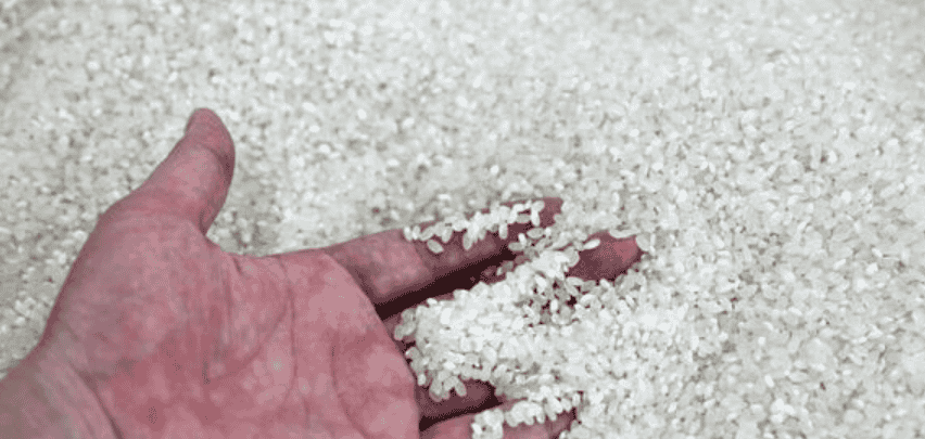 2024年4月大米价格多少钱一斤，怎么挑选好的大米