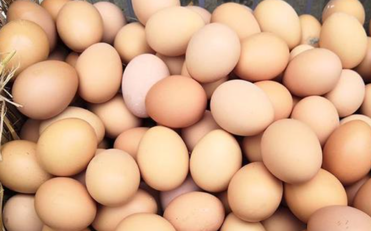 当前鸡蛋价格多少钱一斤，怎样才能选到好鸡蛋呢