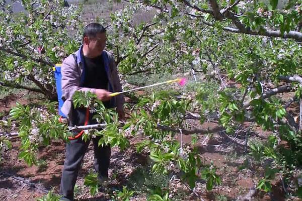 生物农药的简介，是指利用生物活体或代谢产物去杀灭、抑制有害生物的制剂