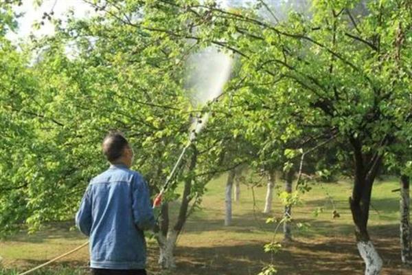 生物农药的简介，是指利用生物活体或代谢产物去杀灭、抑制有害生物的制剂