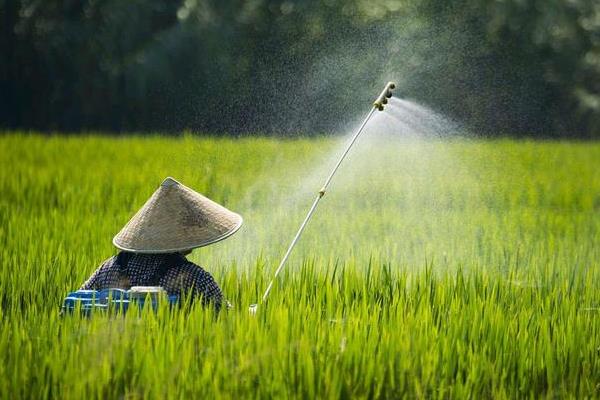 阿维菌素不可以和哪种药混用，禁止与杀菌剂、碱性农药一起使用